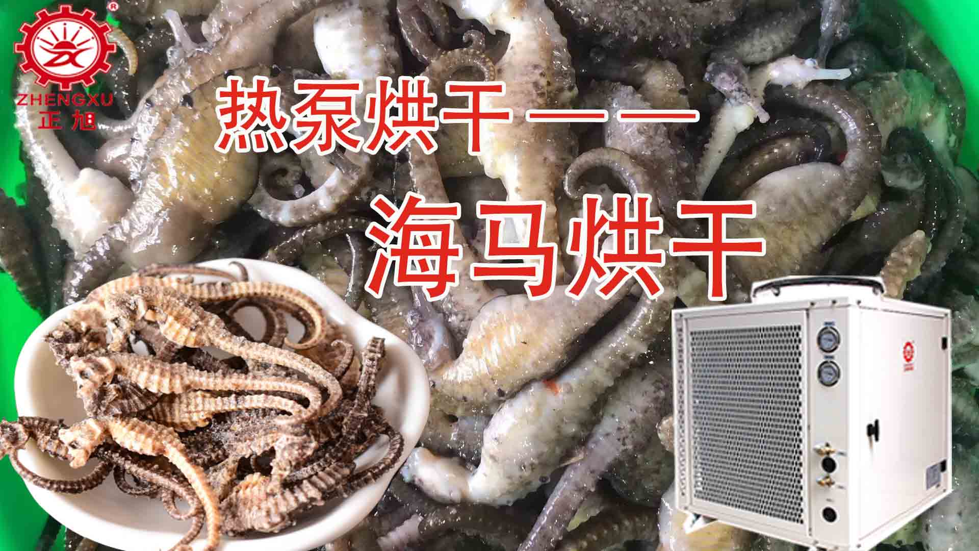 海馬熱泵烘干方法詳解（含研粉、清洗、宰殺、烘干時間）